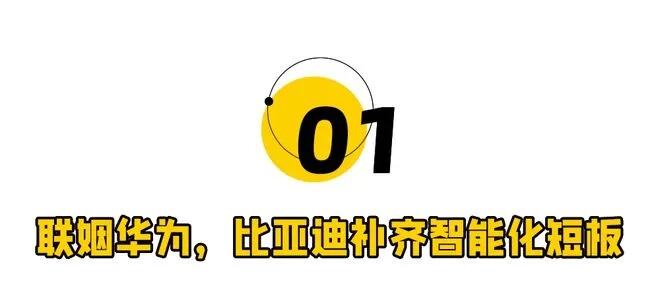 国内专家炮轰国产新能源汽车