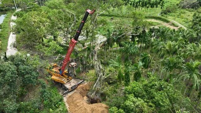 海南万泉河水生态体检报告出炉