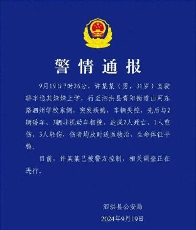 男子驾车误撞小象遭5头大象围攻