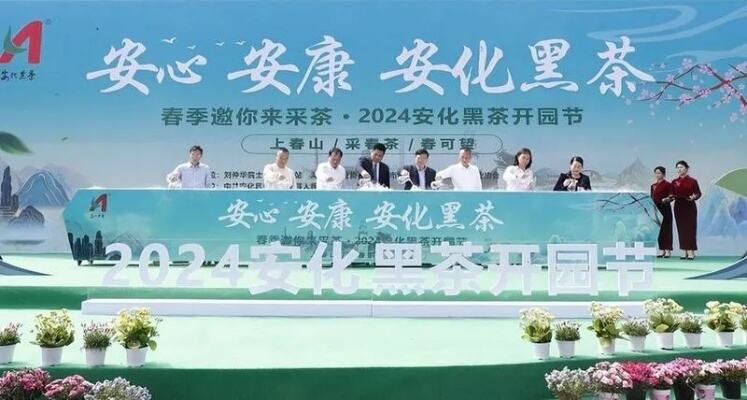 安化黑茶茶艺师成创业就业名片