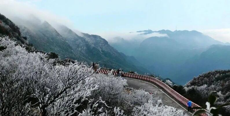 南宁大明山景区出现冰凌雾凇景观