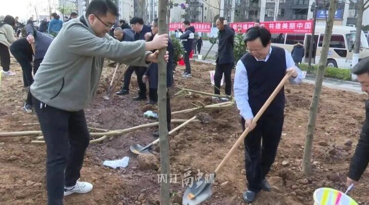 内江多地开展义务植树活动