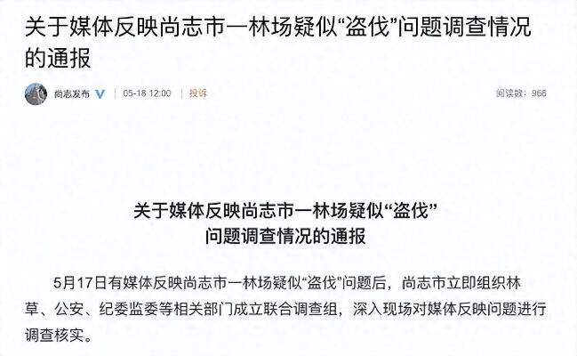 黑龙江尚志市一林场疑似盗伐