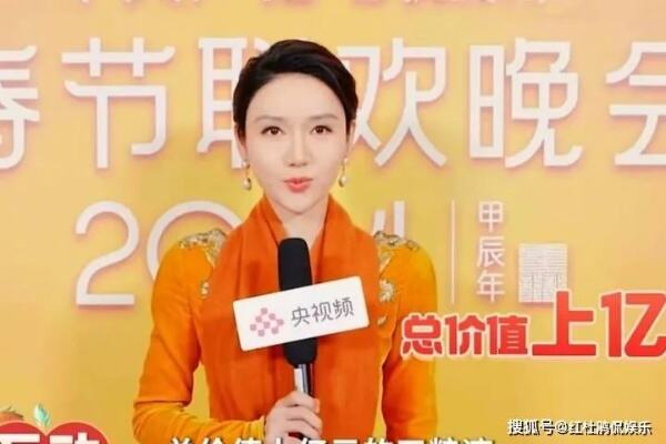 2024央视春晚主持人锁定