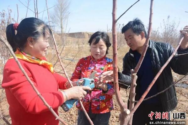 大同市阳高县展开春耕备耕