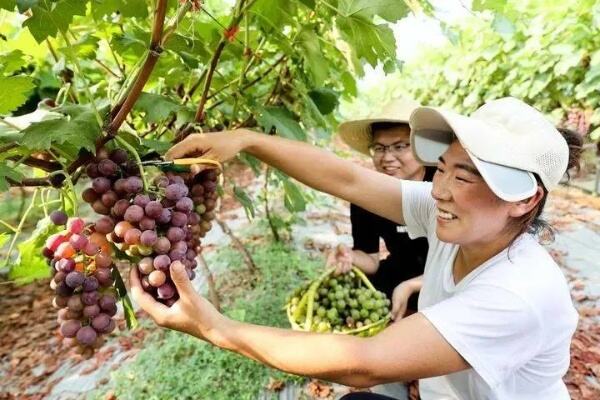 把干部从繁复考核中解脱出来