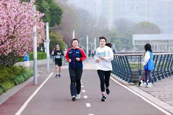 徐汇滨江樱花大道主题