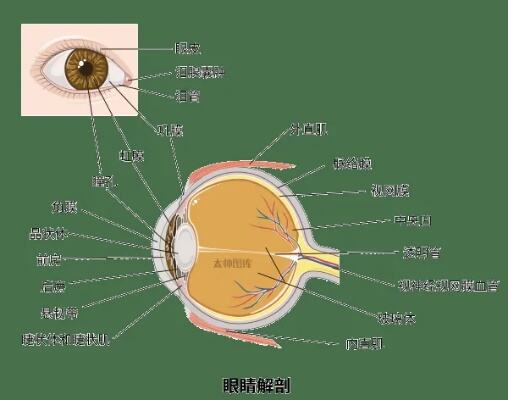 这些容易被忽视的疾病要警惕